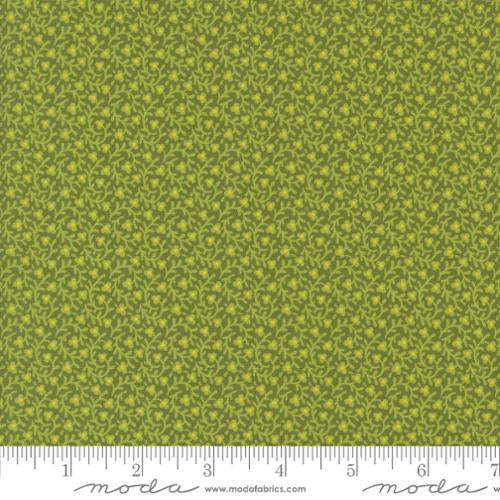 Creeping Thyme (New Leaf)