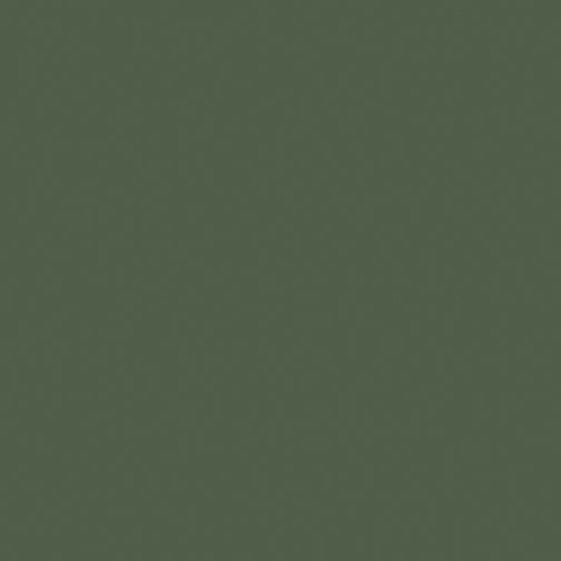 Superior Solids-Fern