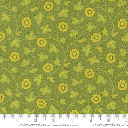 Trailing Moss (New Leaf)