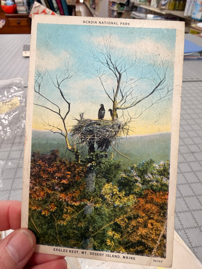 The Creative Collective: A Mixed Media & Collage Club | August 9 || 12-4