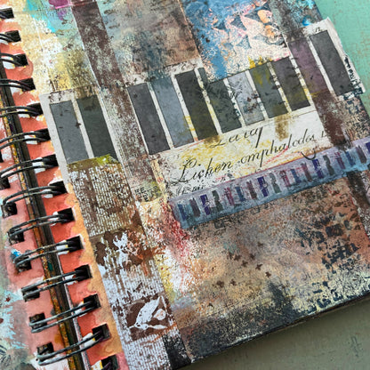 Journalography with Seth Apter | March 7, 2026