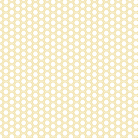 KIMBERBELL BASICS 8256 S