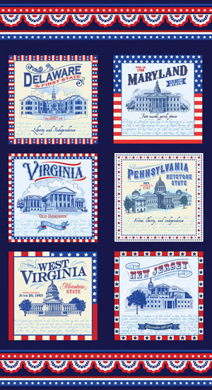 Mid-Atlantic Panel (Navy)
