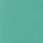 RK Canvas (Mint Green)