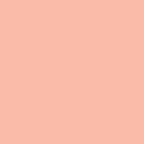 Pure Solids (Popsicle)