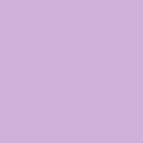 Pure Solids (Day Dreamer)