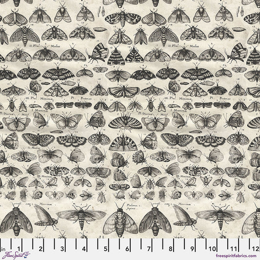 Charcoal - Moths || Palette Charcoal