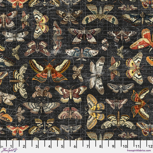 Halloween Moth Study - Halloween || Tim Holtz