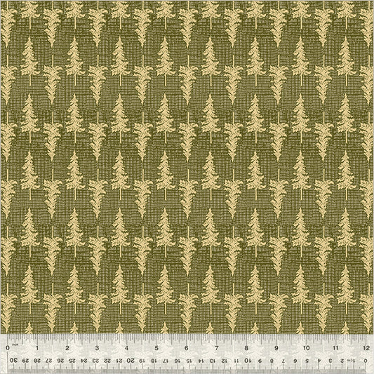 Ponderosa (Pine)