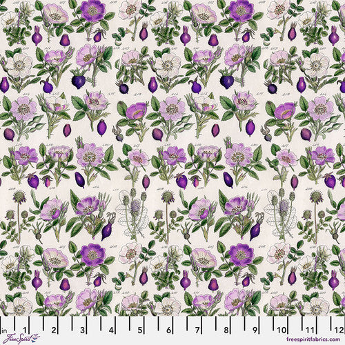Purple - Botanical  || Tim Holtz Palette Purple