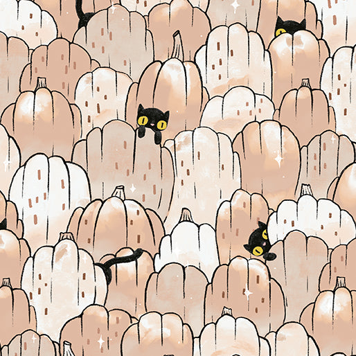 Puss Patch (White Pumpkin)