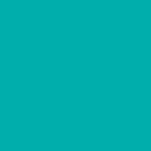 Superior Solids-Euchlorite