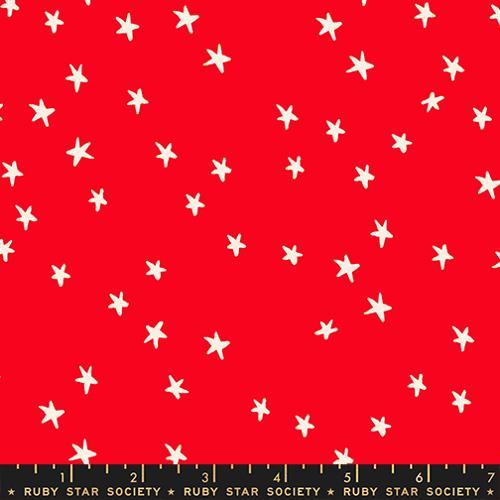 Starry New (Ladybug)