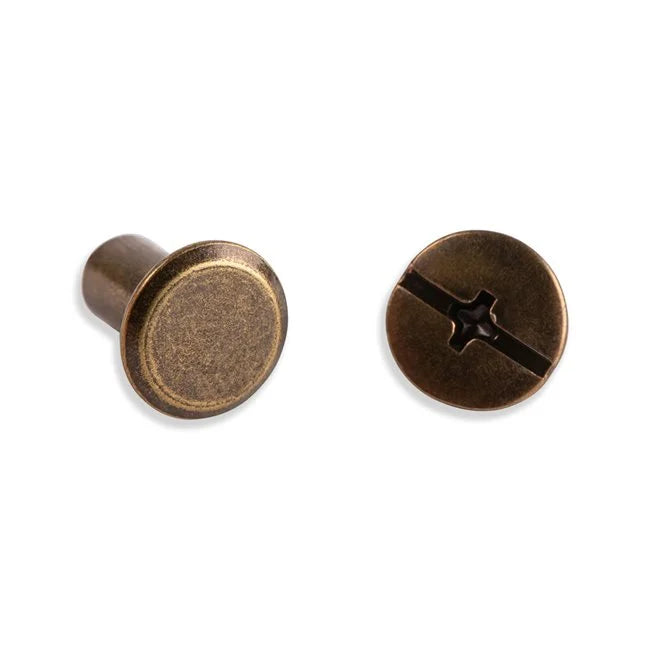 Chicago Screws - 10MM hole (.4") bag of 10 sets