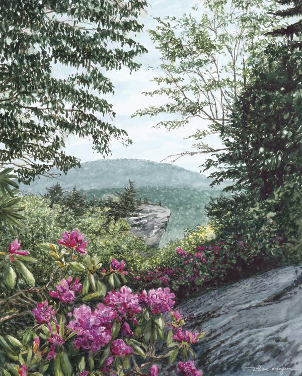 Blue Ridge Majesty 550 Piece Puzzle