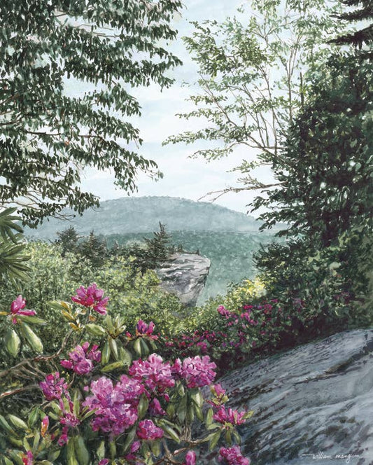 Blue Ridge Majesty 550 Piece Puzzle
