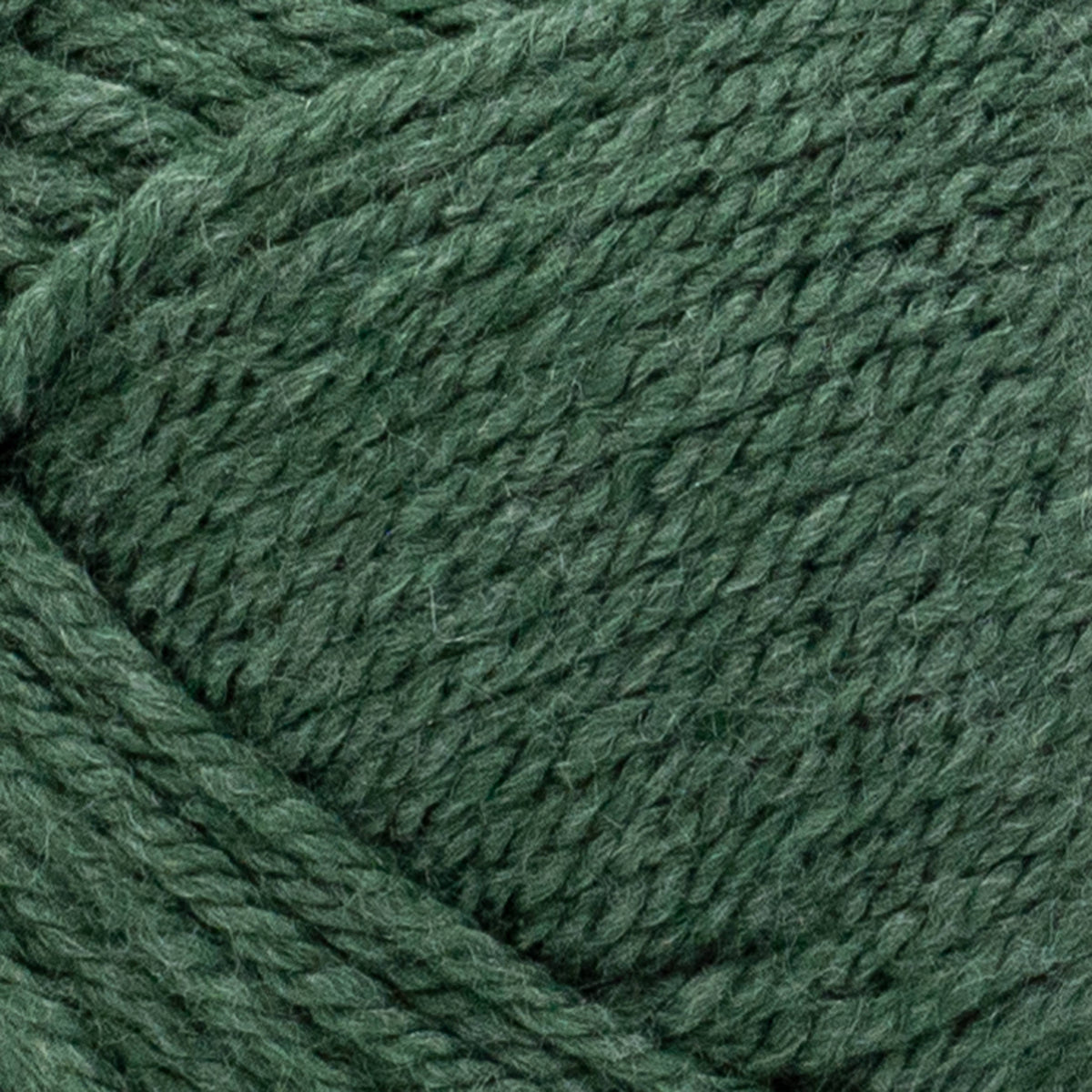 Lion Brand Yarn-Basic Stitch Anti Pilling