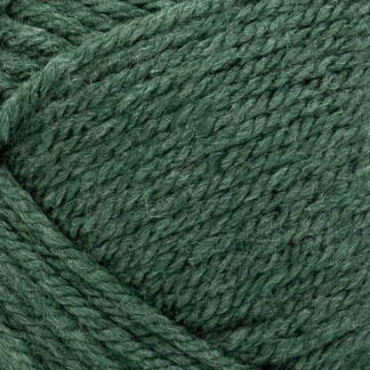 Lion Brand Yarn-Basic Stitch Anti Pilling