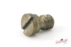 Gib Hook (NS) Screw