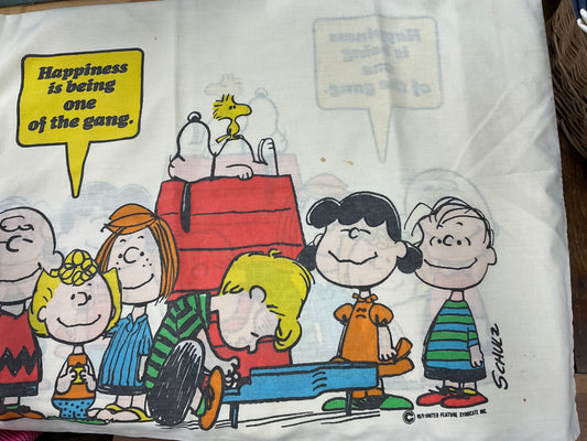 Pillow case vintage - peanuts