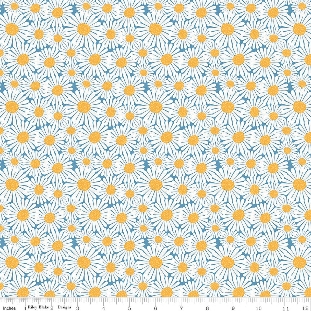 Sunshine & Dandelions Daisies Blue