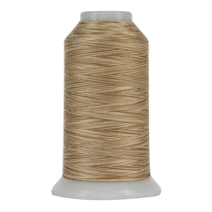 Omni Variegated Polyester Thread 40wt 2000yd