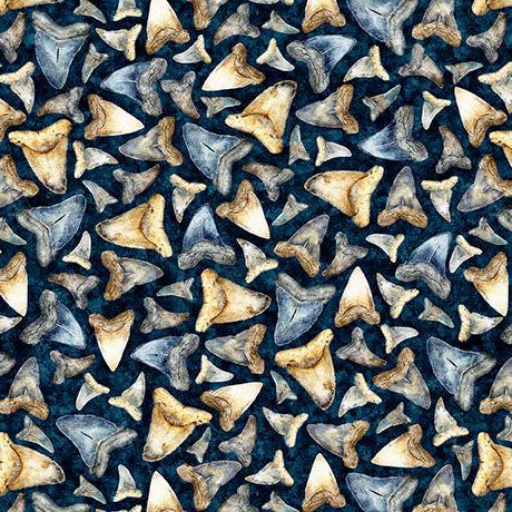 INTO THE DEEP-Shark Teeth-mediterranean