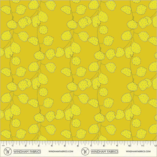 Sunshine, Honesty, Sunglow, High Density Cotton
