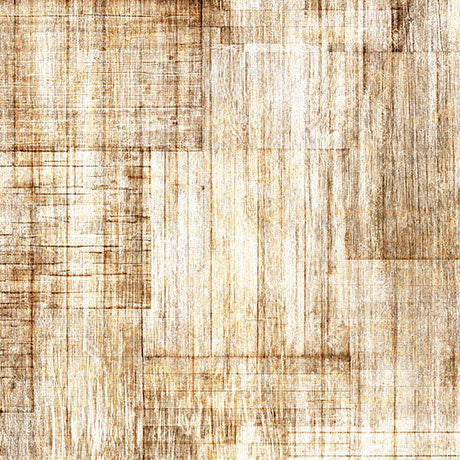 INTO THE WOODS-Wood Texture-driftwood