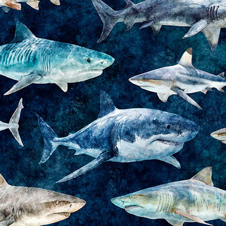 INTO THE DEEP-Sharks-mediterranean