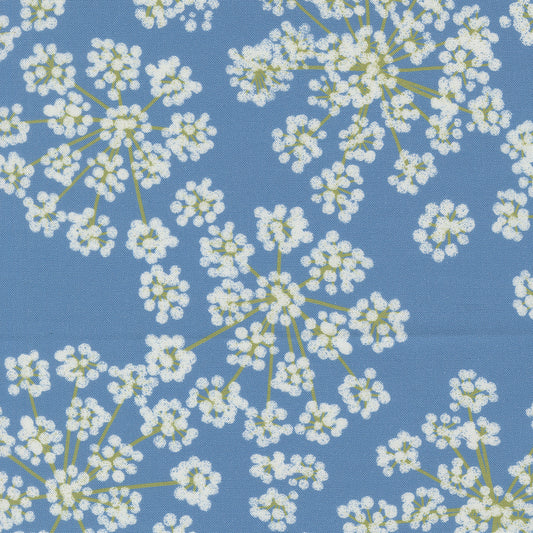 Garden Series-Sky