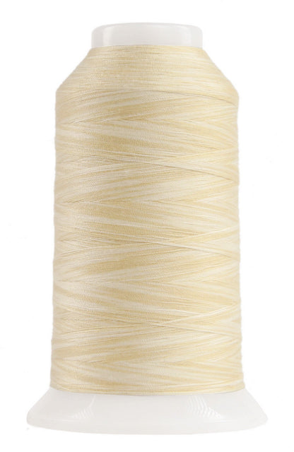 Omni Variegated Polyester Thread 40wt 2000yd