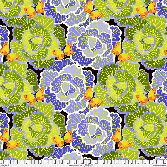 Cabbage - Peri || Vegetable Patch