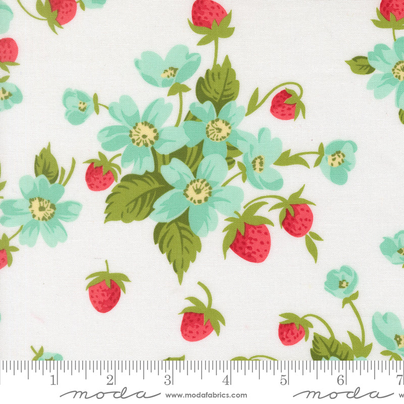 Bloomsberry - White