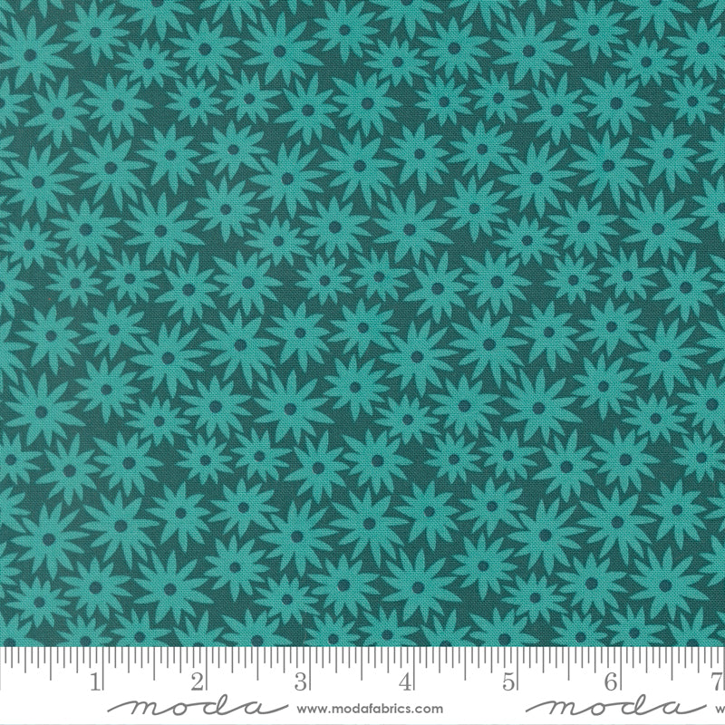Scenery Sedum - Dark Teal