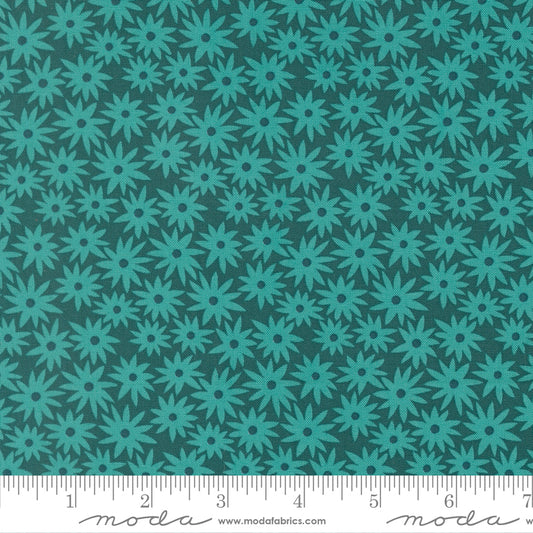Scenery Sedum - Dark Teal