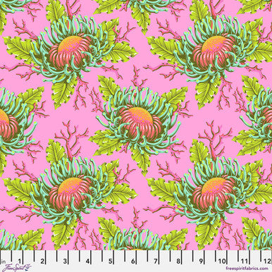 Friends &amp; Anemones - Coralline || Floral Reef