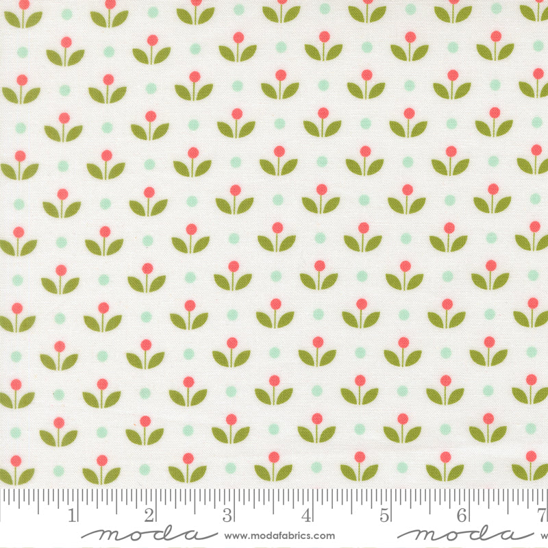 Bloomsberry - White