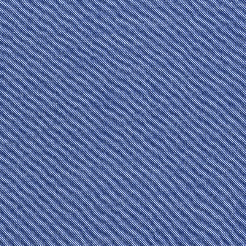 Blue/White
