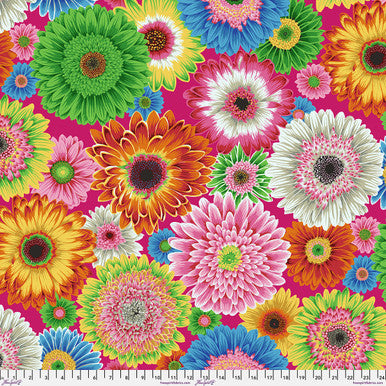 Gerbera Daisies - Bright