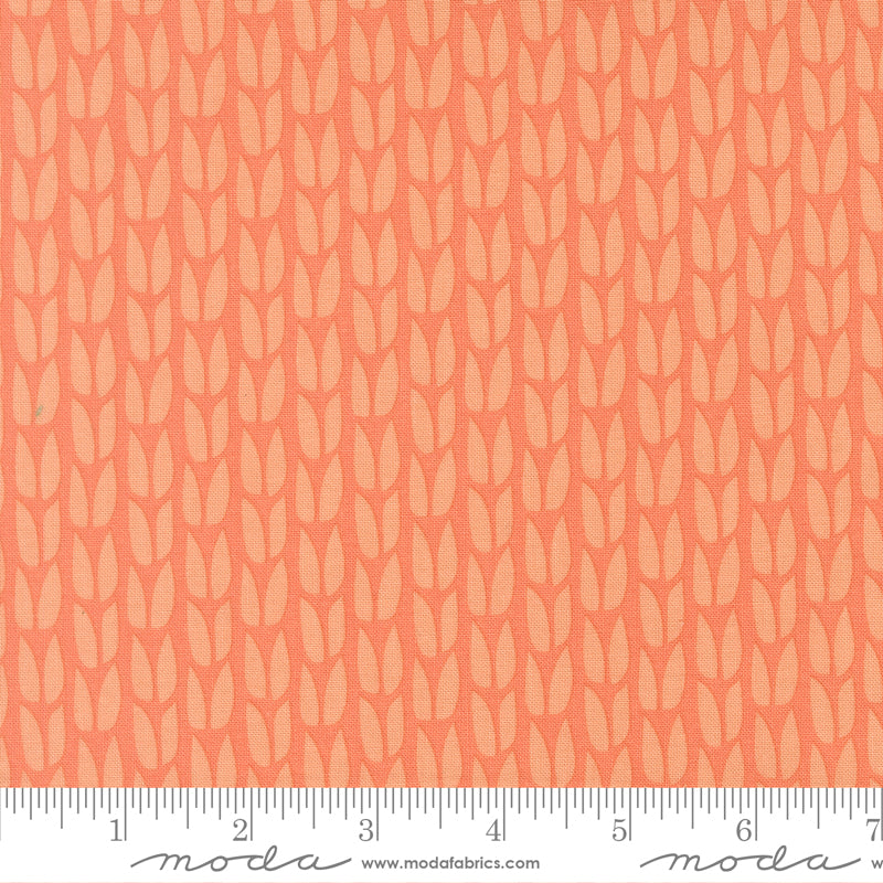 Scenery Sprout - Coral