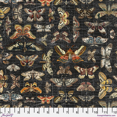 Halloween Moth Study CC - Halloween