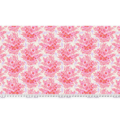 Shadow Sharks - Delphine || Floral Reef