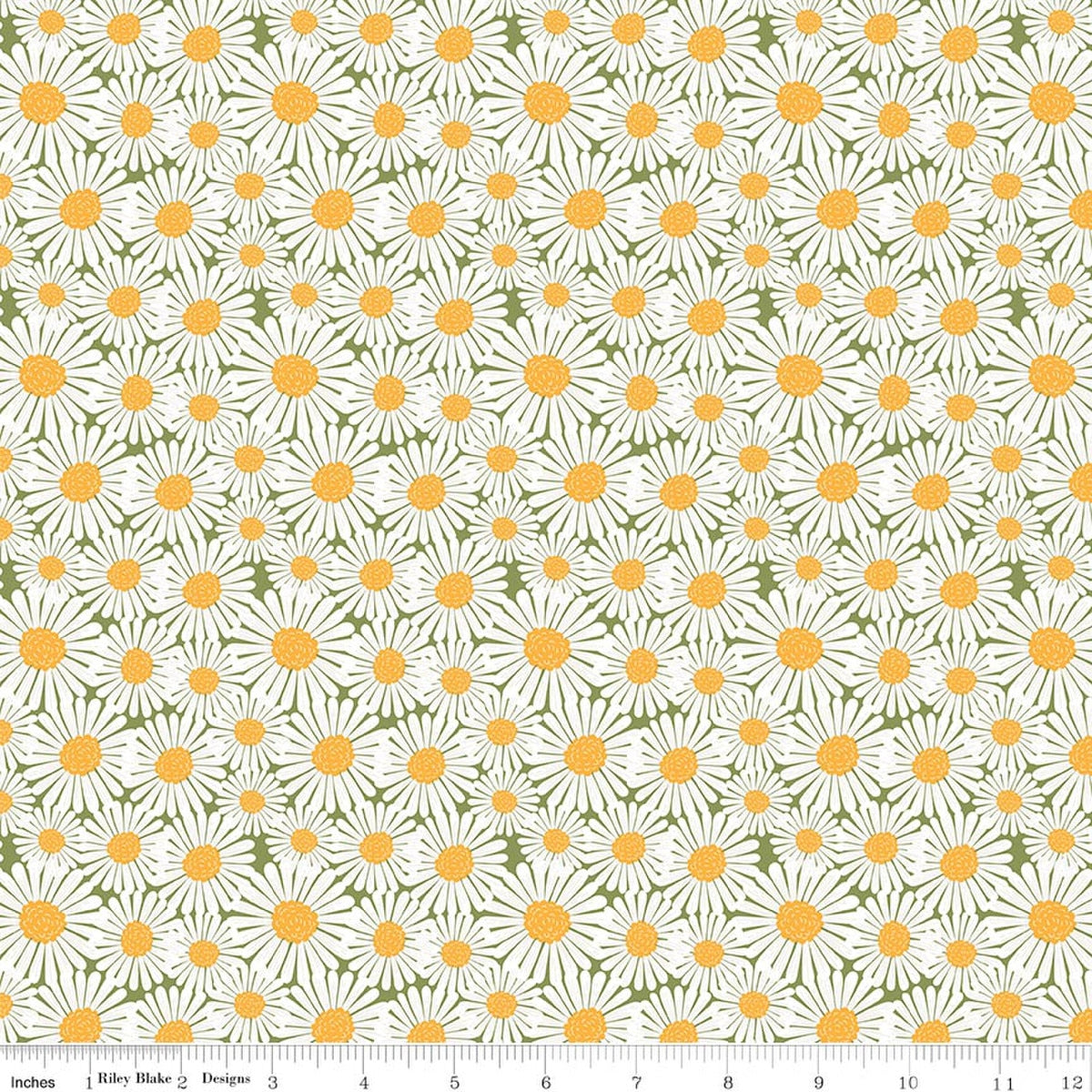 Sunshine & Dandelions Daisies Green