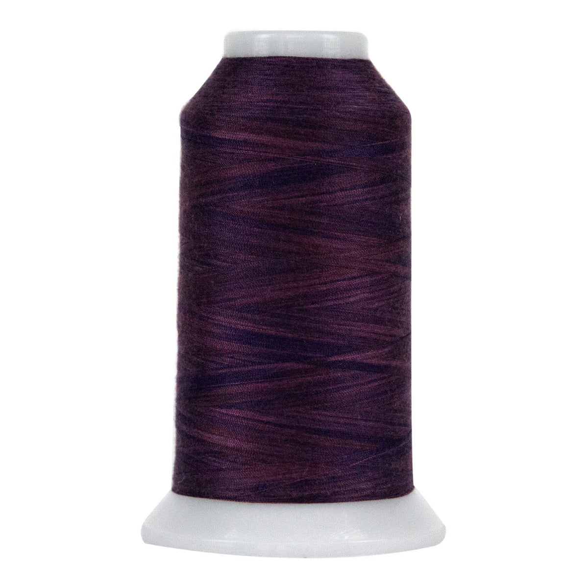 Omni Variegated Polyester Thread 40wt 2000yd