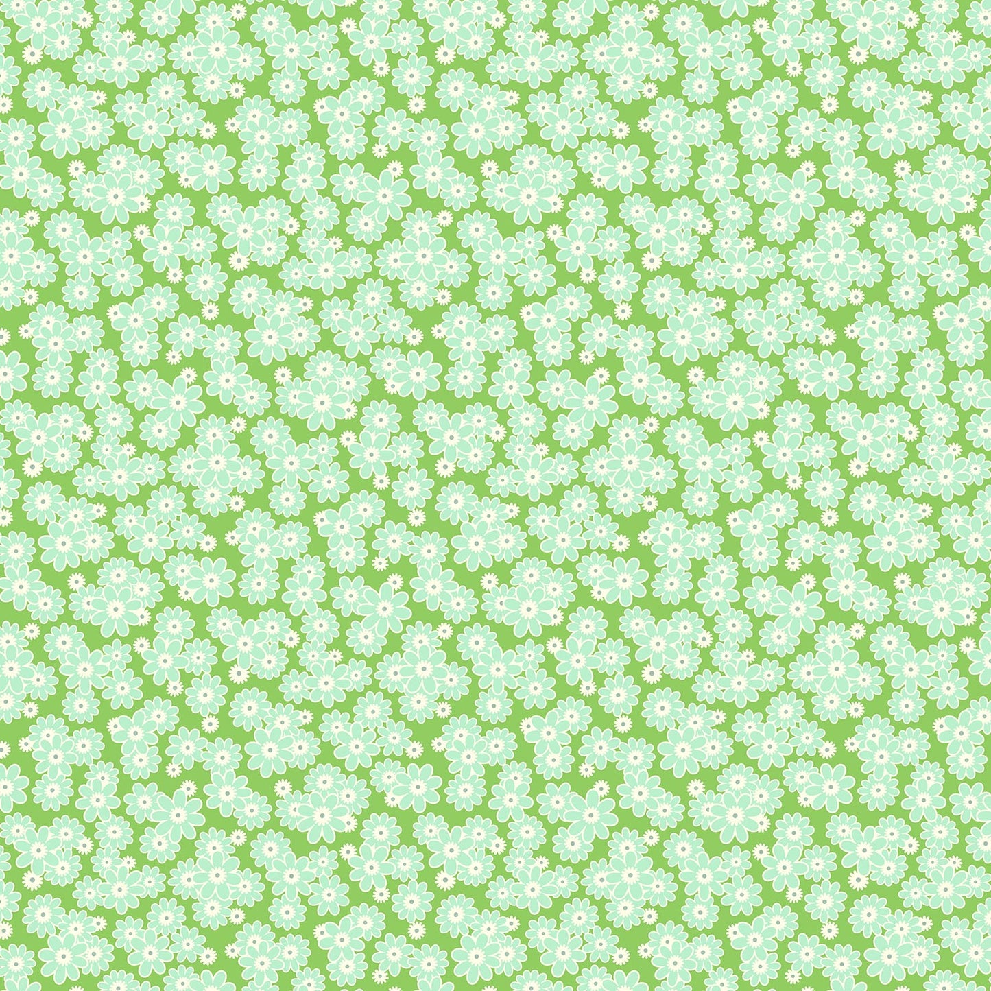 DAISY CRUSH - CLOVER