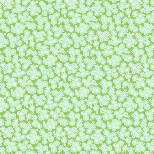 DAISY CRUSH - CLOVER