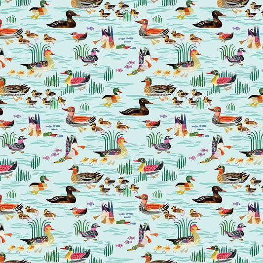 GET YOUR DUCKS IN A ROW - Aqua