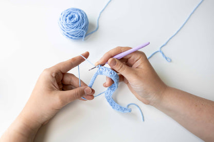 Intro to Crochet with Jane Mullenix | January 18 and 25th 12-3