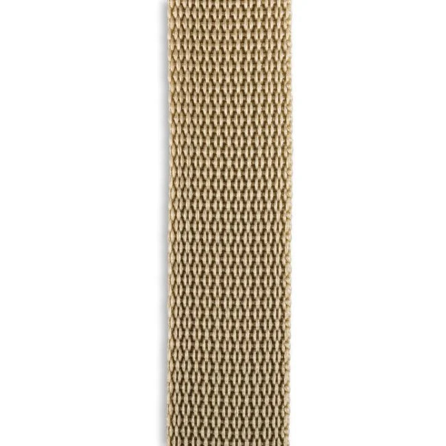 Polyester Webbing by the yard (1 inch)